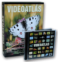 CD-ROM Videoatlas bezobratl�ch �ivo�ich�